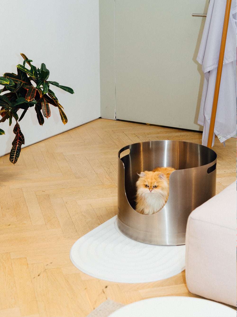 high-wall, high-side, extra large stainless steel litter box
