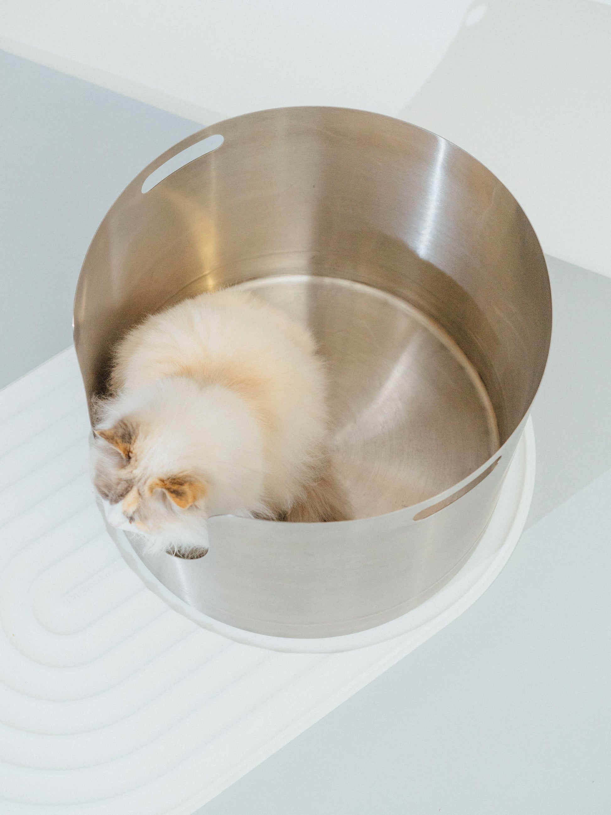 high-wall, high-side, extra large stainless steel litter box