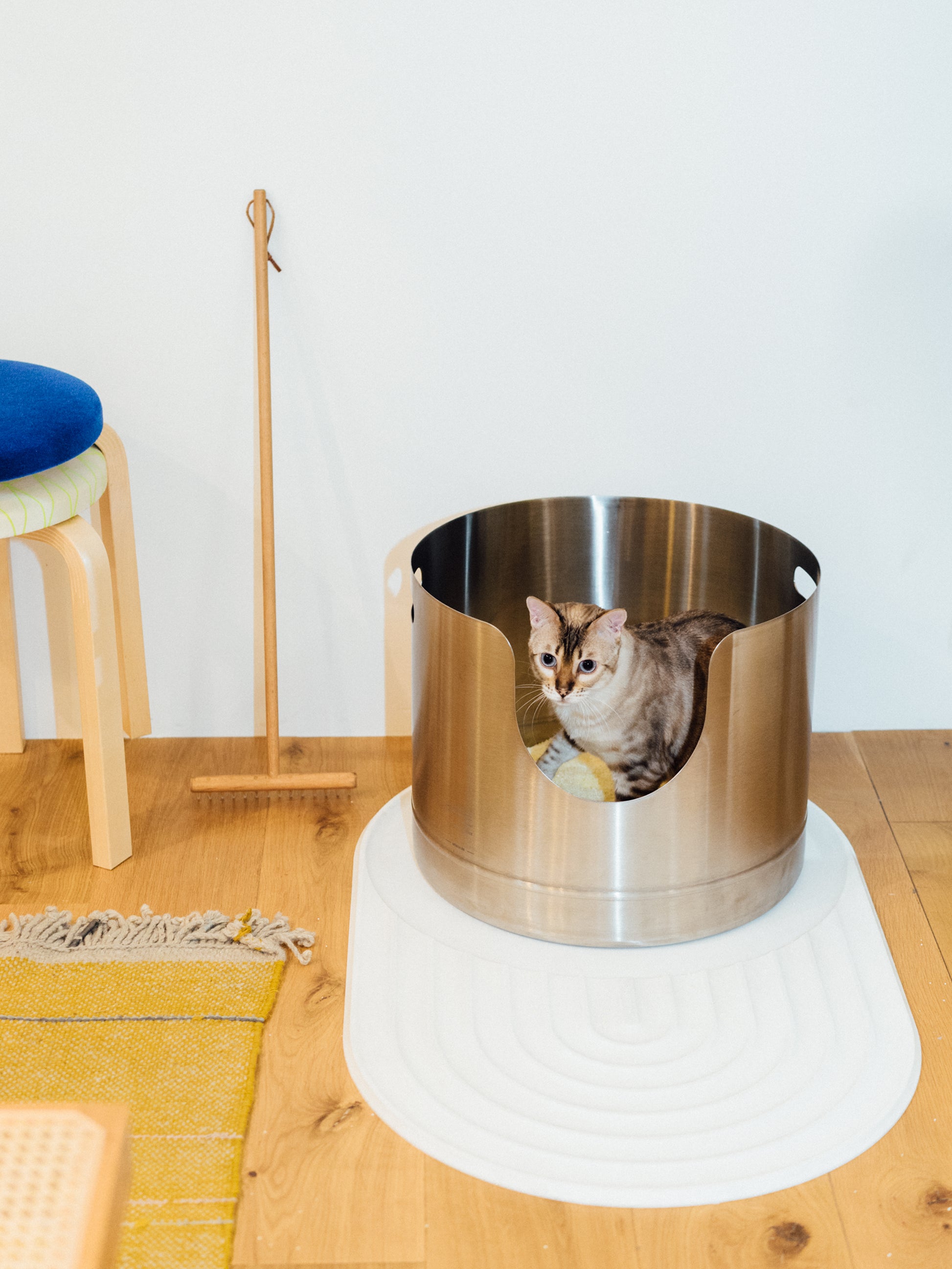 Kitty Litter Box Set Includes 4-Pieces - Shallow Cat Litter Pan, Cat Litter  Scoo